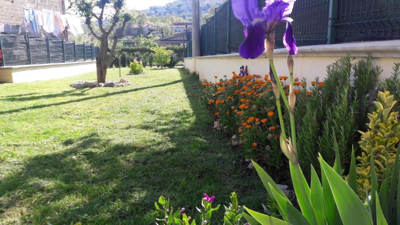 La Casina Gialla Villa Veroli Dış mekan fotoğraf